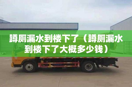 蹲厕漏水到楼下了（蹲厕漏水到楼下了大概多少钱）