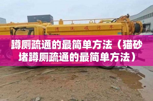 蹲厕疏通的最简单方法（猫砂堵蹲厕疏通的最简单方法）