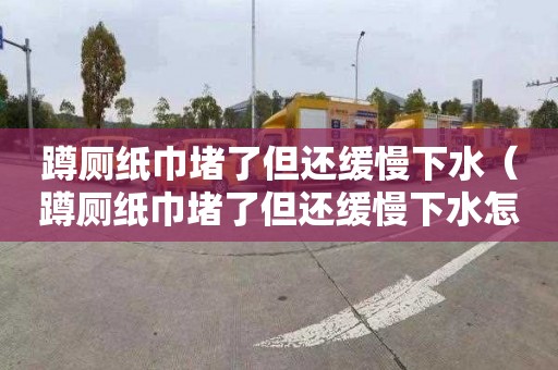 蹲厕纸巾堵了但还缓慢下水（蹲厕纸巾堵了但还缓慢下水怎么办）