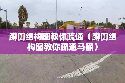蹲厕结构图教你疏通（蹲厕结构图教你疏通马桶）