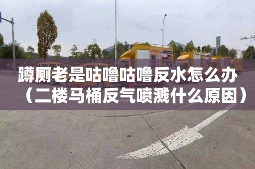 蹲厕老是咕噜咕噜反水怎么办（二楼马桶反气喷溅什么原因）