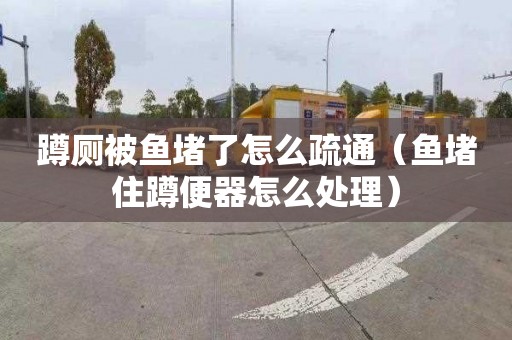 蹲厕被鱼堵了怎么疏通（鱼堵住蹲便器怎么处理）