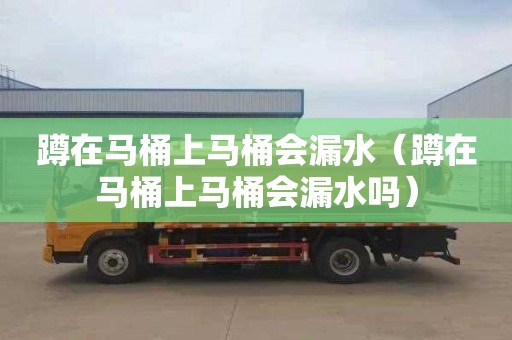蹲在马桶上马桶会漏水（蹲在马桶上马桶会漏水吗）