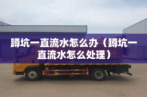 蹲坑一直流水怎么办（蹲坑一直流水怎么处理）