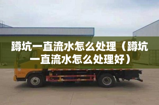 蹲坑一直流水怎么处理（蹲坑一直流水怎么处理好）
