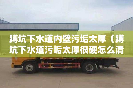 蹲坑下水道内壁污垢太厚（蹲坑下水道污垢太厚很硬怎么清除）