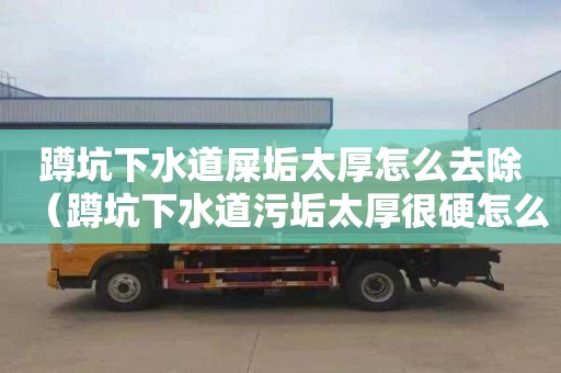 蹲坑下水道屎垢太厚怎么去除（蹲坑下水道污垢太厚很硬怎么清除）