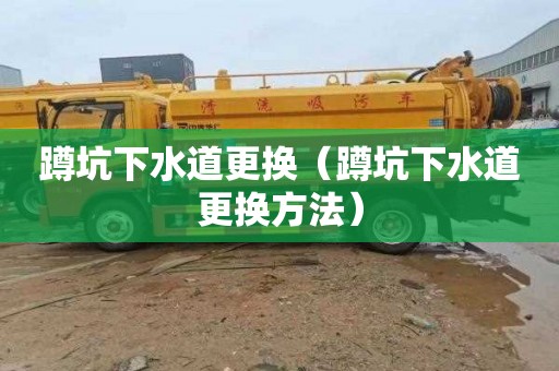 蹲坑下水道更换（蹲坑下水道更换方法）