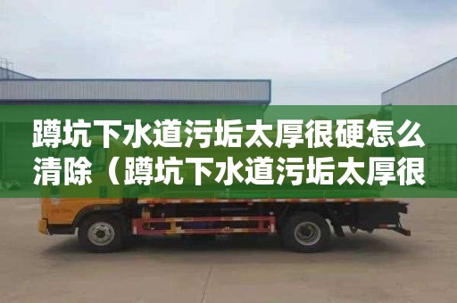 蹲坑下水道污垢太厚很硬怎么清除（蹲坑下水道污垢太厚很硬怎么清除烧碱怎么除）
