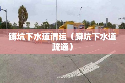 蹲坑下水道清运（蹲坑下水道疏通）