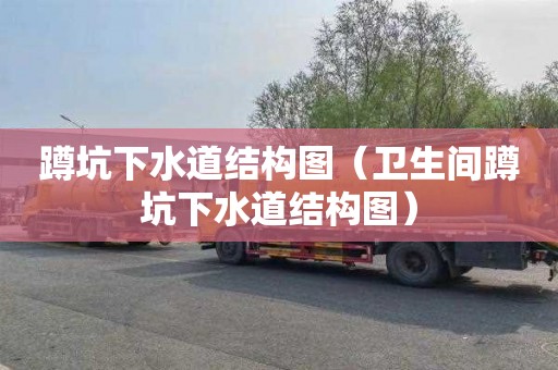 蹲坑下水道结构图（卫生间蹲坑下水道结构图）