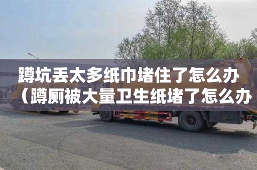 蹲坑丢太多纸巾堵住了怎么办（蹲厕被大量卫生纸堵了怎么办）