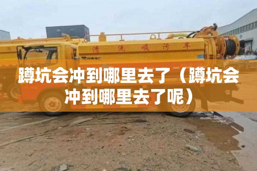 蹲坑会冲到哪里去了（蹲坑会冲到哪里去了呢）