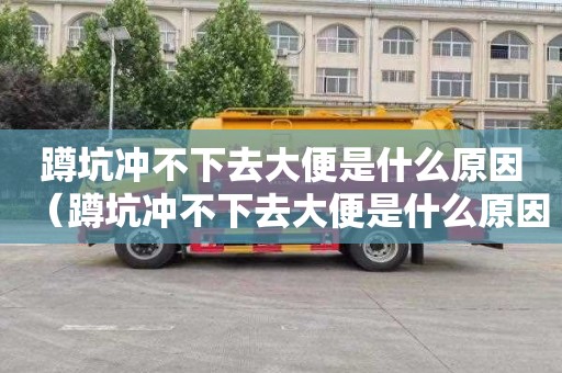 蹲坑冲不下去大便是什么原因（蹲坑冲不下去大便是什么原因引起的）