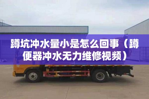 蹲坑冲水量小是怎么回事（蹲便器冲水无力维修视频）