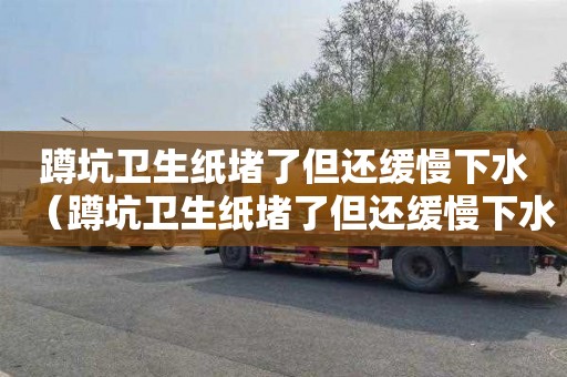 蹲坑卫生纸堵了但还缓慢下水（蹲坑卫生纸堵了但还缓慢下水怎么办）