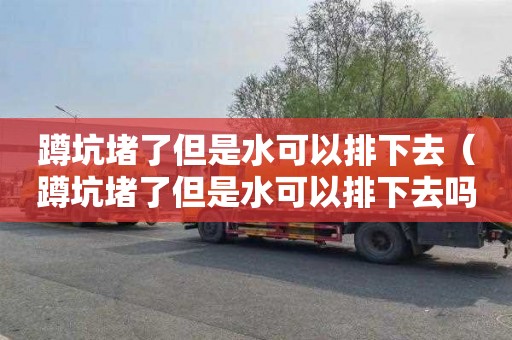 蹲坑堵了但是水可以排下去（蹲坑堵了但是水可以排下去吗）