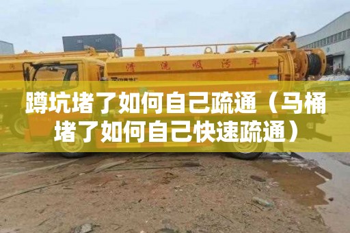 蹲坑堵了如何自己疏通（马桶堵了如何自己快速疏通）