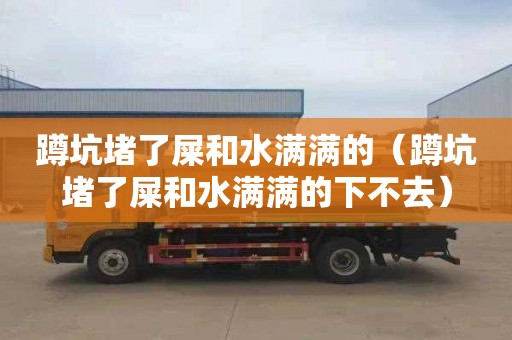 蹲坑堵了屎和水满满的（蹲坑堵了屎和水满满的下不去）