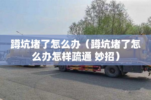 蹲坑堵了怎么办（蹲坑堵了怎么办怎样疏通 妙招）