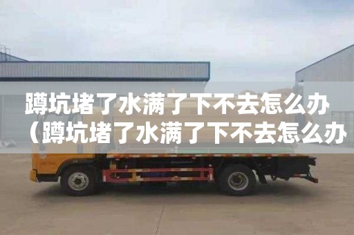 蹲坑堵了水满了下不去怎么办（蹲坑堵了水满了下不去怎么办视频）