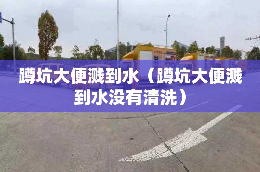 蹲坑大便溅到水（蹲坑大便溅到水没有清洗）