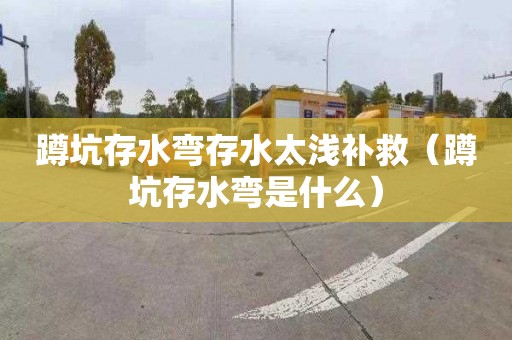 蹲坑存水弯存水太浅补救（蹲坑存水弯是什么）