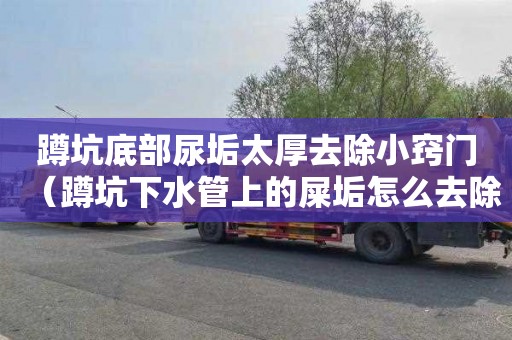 蹲坑底部尿垢太厚去除小窍门（蹲坑下水管上的屎垢怎么去除）