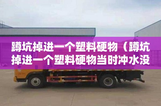 蹲坑掉进一个塑料硬物（蹲坑掉进一个塑料硬物当时冲水没堵算冲走了吗）