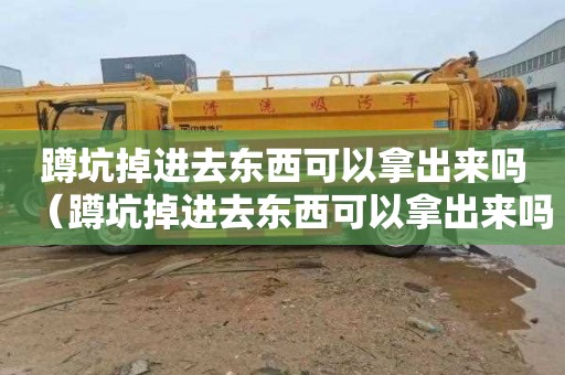 蹲坑掉进去东西可以拿出来吗（蹲坑掉进去东西可以拿出来吗?）