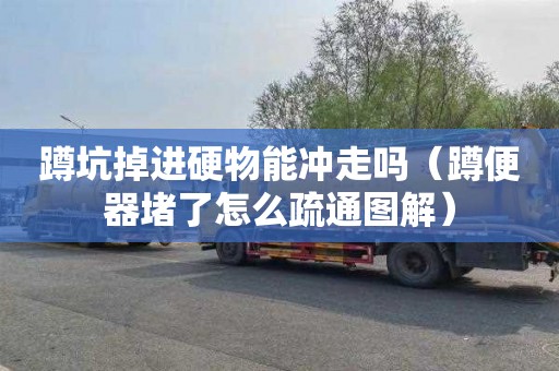 蹲坑掉进硬物能冲走吗（蹲便器堵了怎么疏通图解）
