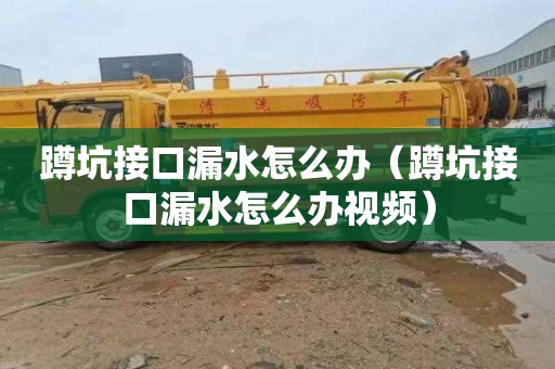 蹲坑接口漏水怎么办（蹲坑接口漏水怎么办视频）