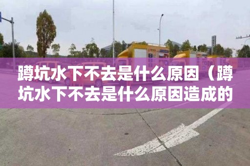 蹲坑水下不去是什么原因（蹲坑水下不去是什么原因造成的）