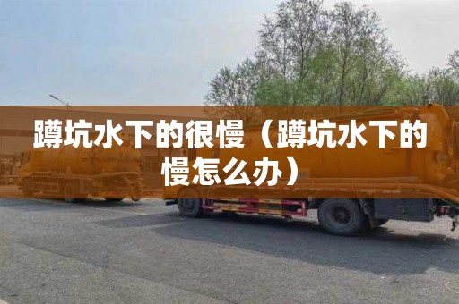 蹲坑水下的很慢（蹲坑水下的慢怎么办）