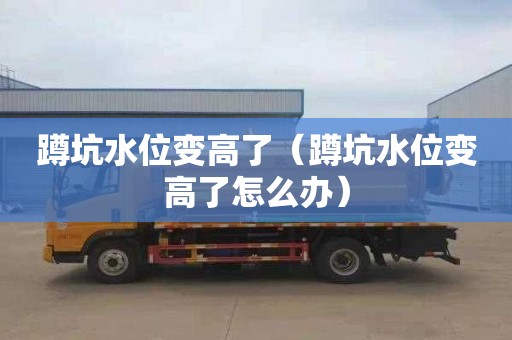 蹲坑水位变高了（蹲坑水位变高了怎么办）