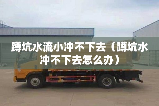 蹲坑水流小冲不下去（蹲坑水冲不下去怎么办）