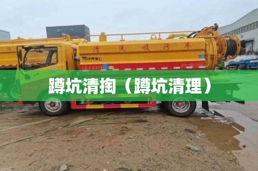 蹲坑清掏（蹲坑清理）