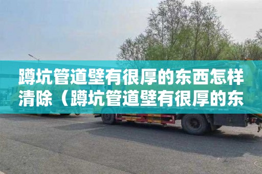 蹲坑管道壁有很厚的东西怎样清除（蹲坑管道壁有很厚的东西怎样清除视频）