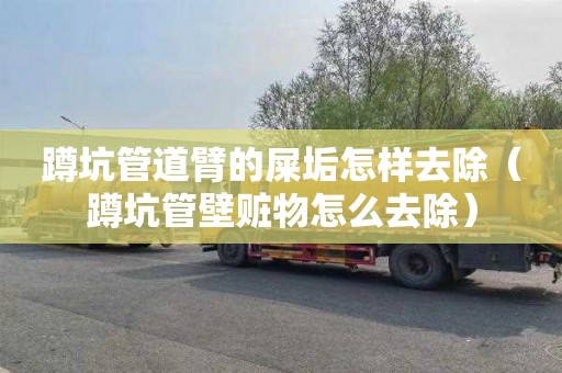 蹲坑管道臂的屎垢怎样去除（蹲坑管壁赃物怎么去除）