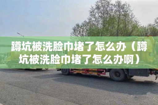 蹲坑被洗脸巾堵了怎么办（蹲坑被洗脸巾堵了怎么办啊）