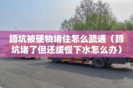 蹲坑被硬物堵住怎么疏通（蹲坑堵了但还缓慢下水怎么办）