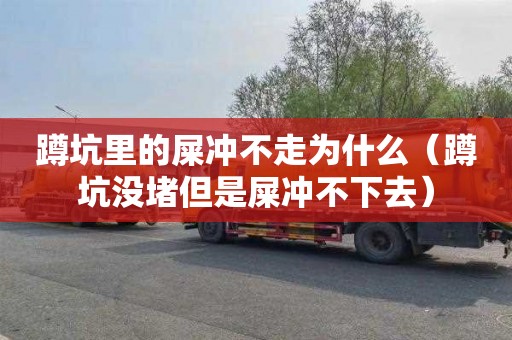蹲坑里的屎冲不走为什么（蹲坑没堵但是屎冲不下去）
