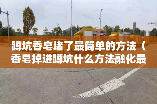 蹲坑香皂堵了最简单的方法（香皂掉进蹲坑什么方法融化最快）
