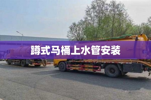 蹲式马桶上水管安装