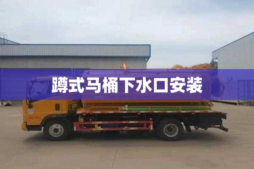 蹲式马桶下水口安装