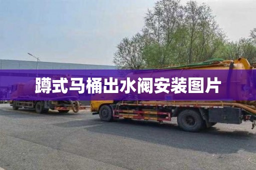 蹲式马桶出水阀安装图片