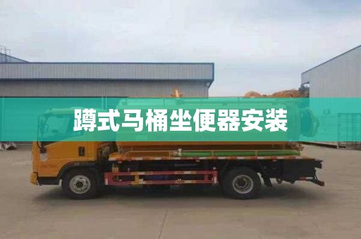 蹲式马桶坐便器安装