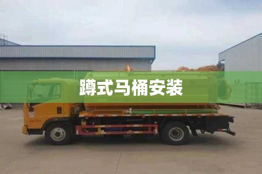 蹲式马桶安装