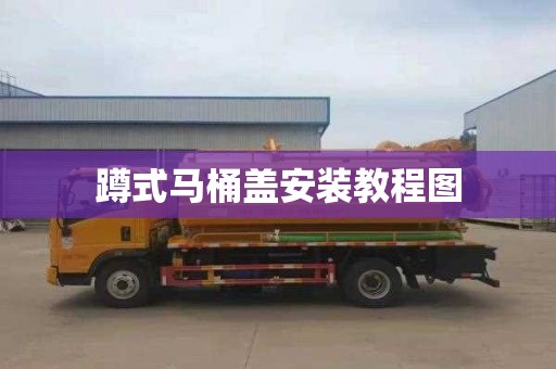 蹲式马桶盖安装教程图