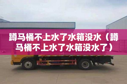 蹲马桶不上水了水箱没水（蹲马桶不上水了水箱没水了）
